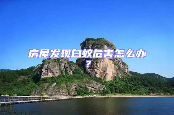 房屋發現白蟻危害怎么辦?