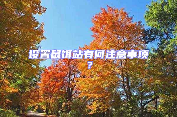 設置鼠餌站有何注意事項?