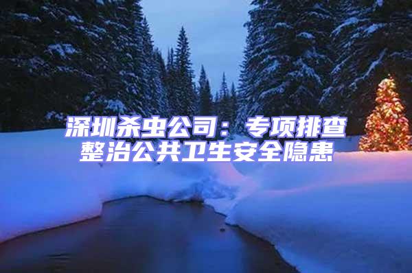 深圳殺蟲公司:專項排查整治公共衛生安全隱患