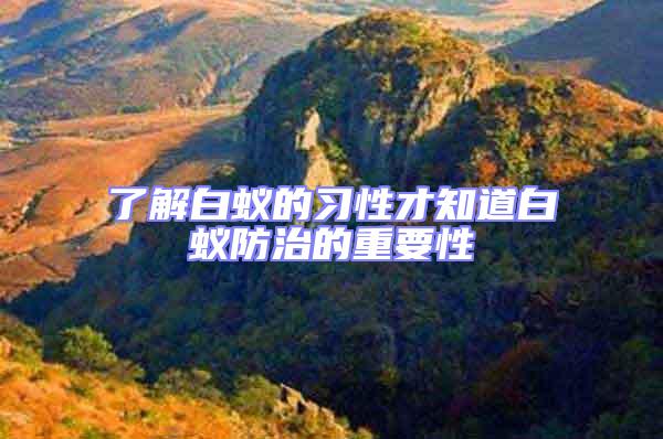 了解白蟻的習(xí)性才知道白蟻防治的重要性