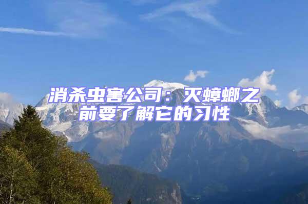 消殺蟲害公司:滅蟑螂之前要了解它的習(xí)性