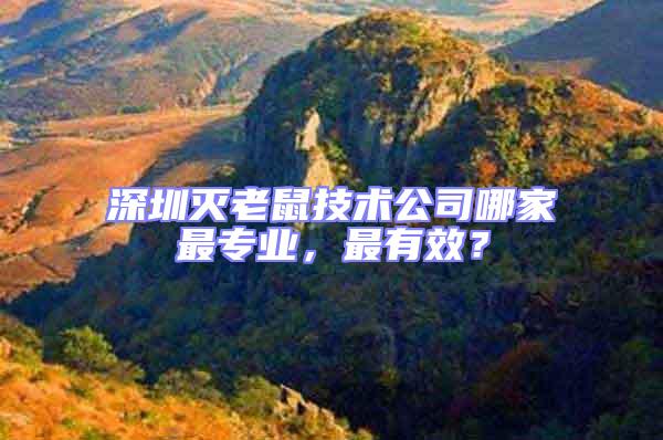 深圳滅老鼠技術公司哪家最專業,最有效?