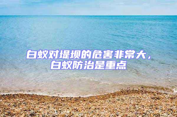 白蟻對(duì)堤壩的危害非常大，白蟻防治是重點(diǎn)