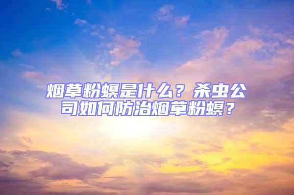 煙草粉螟是什么?殺蟲(chóng)公司如何防治煙草粉螟?
