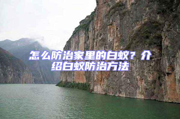 怎么防治家里的白蟻？介紹白蟻防治方法