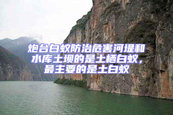 炮臺(tái)白蟻防治危害河堤和水庫(kù)土壩的是土棲白蟻,最主要的是土白蟻