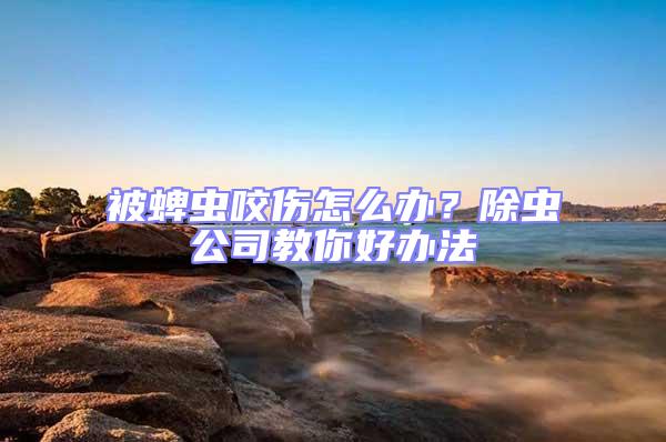 被蜱蟲咬傷怎么辦?除蟲公司教你好辦法