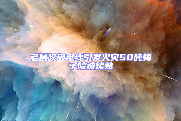 老鼠咬破電線引發(fā)火災(zāi)50噸梅子險被烤熟