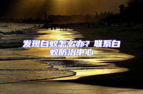 發(fā)現(xiàn)白蟻怎么辦?聯(lián)系白蟻防治中心