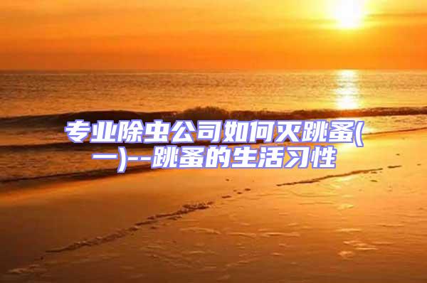 專業除蟲公司如何滅跳蚤(一)--跳蚤的生活習性