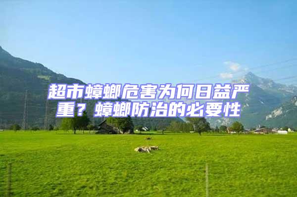 超市蟑螂危害為何日益嚴(yán)重?蟑螂防治的必要性