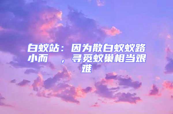 白蟻站:因為散白蟻蟻路小而骫骳,尋覓蟻巢相當艱難
