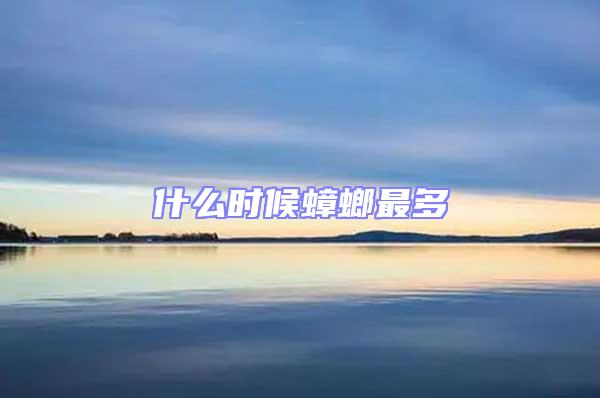 什么時(shí)候蟑螂最多