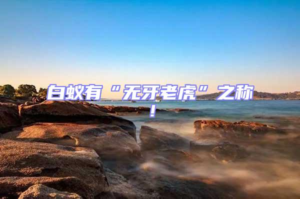 白蟻有“無牙老虎”之稱！