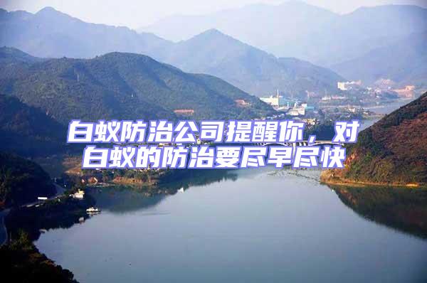白蟻防治公司提醒你，對(duì)白蟻的防治要盡早盡快