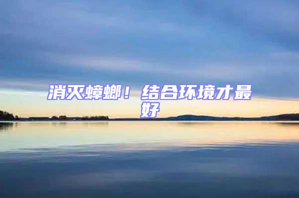 消滅蟑螂！結合環境才最好