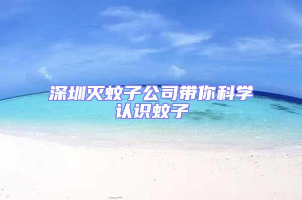 深圳滅蚊子公司帶你科學(xué)認(rèn)識(shí)蚊子