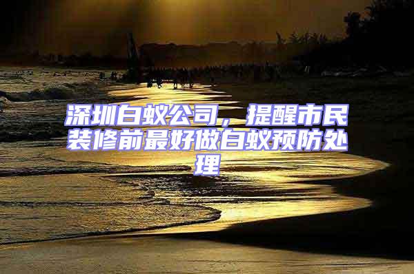 深圳白蟻公司，提醒市民裝修前最好做白蟻預防處理