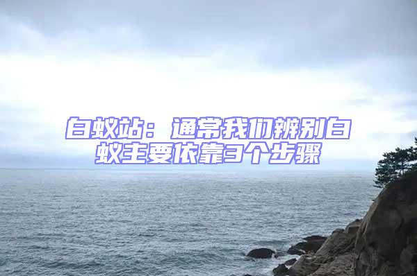 白蟻站:通常我們辨別白蟻主要依靠3個步驟