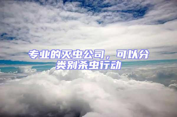 專業的滅蟲公司，可以分類別殺蟲行動