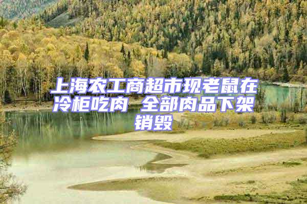 上海農(nóng)工商超市現(xiàn)老鼠在冷柜吃肉 全部肉品下架銷(xiāo)毀