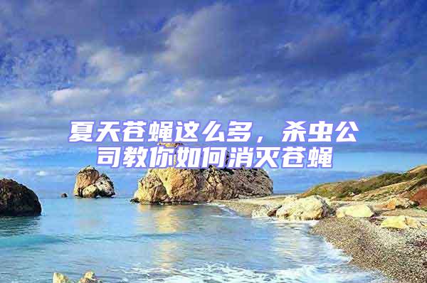 夏天蒼蠅這么多,殺蟲公司教你如何消滅蒼蠅