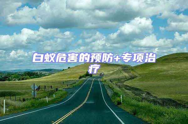 白蟻危害的預(yù)防+專項治療