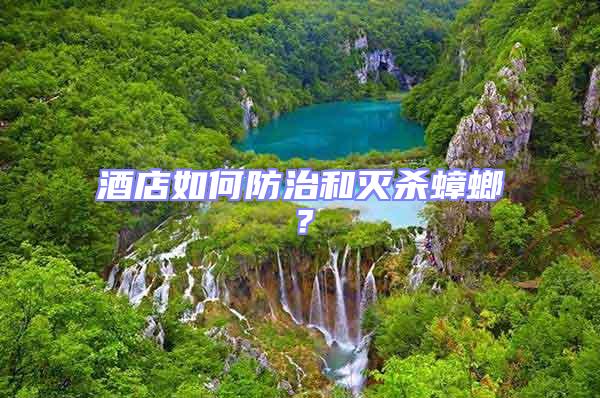 酒店如何防治和滅殺蟑螂？