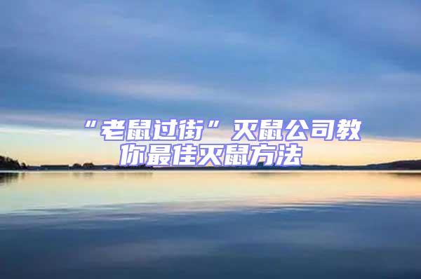 “老鼠過(guò)街”滅鼠公司教你最佳滅鼠方法