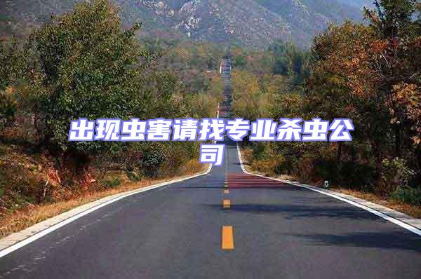 出現蟲害請找專業殺蟲公司