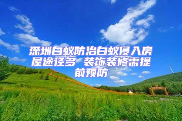 深圳白蟻防治白蟻侵入房屋途徑多 裝飾裝修需提前預(yù)防