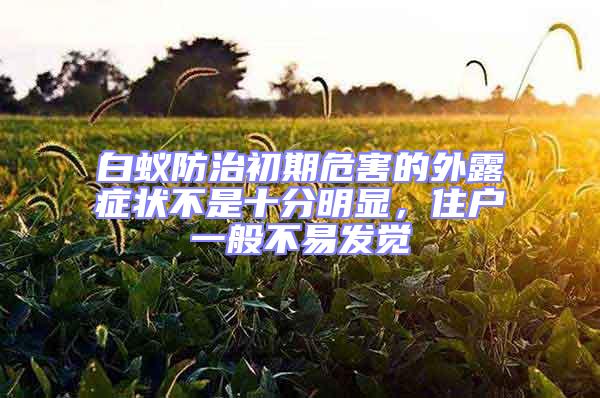白蟻防治初期危害的外露癥狀不是十分明顯,住戶一般不易發覺