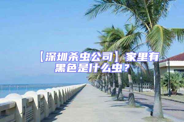【深圳殺蟲公司】家里有黑色是什么蟲?