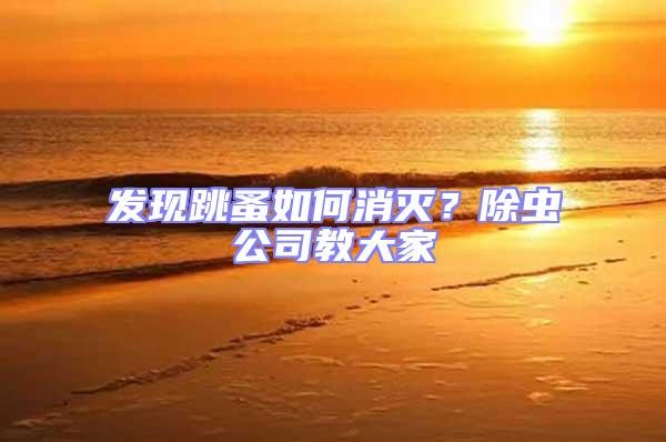 發(fā)現(xiàn)跳蚤如何消滅?除蟲公司教大家