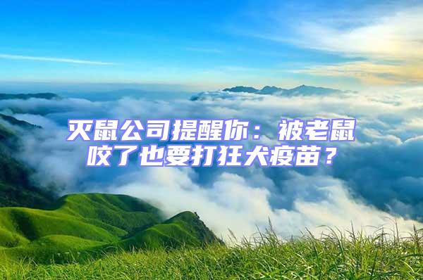 滅鼠公司提醒你：被老鼠咬了也要打狂犬疫苗？