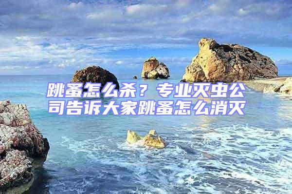 跳蚤怎么殺?專業滅蟲公司告訴大家跳蚤怎么消滅