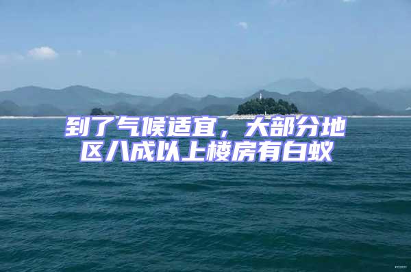到了氣候適宜,大部分地區八成以上樓房有白蟻