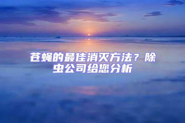 蒼蠅的最佳消滅方法？除蟲公司給您分析