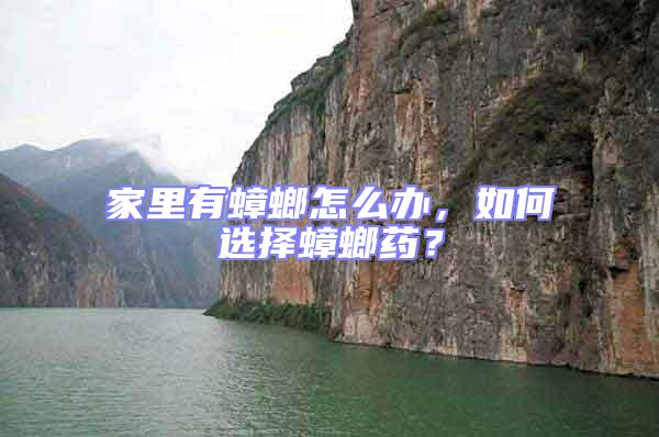 家里有蟑螂怎么辦，如何選擇蟑螂藥？