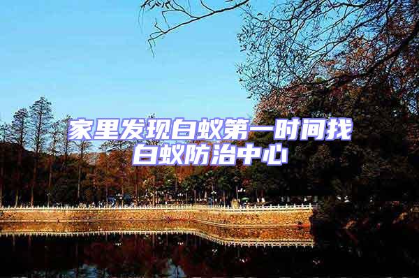 家里發(fā)現(xiàn)白蟻第一時(shí)間找白蟻防治中心