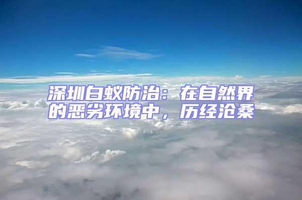 深圳白蟻防治:在自然界的惡劣環(huán)境中,歷經(jīng)滄桑