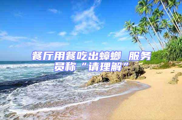 餐廳用餐吃出蟑螂 服務員稱“請理解”