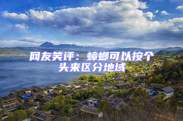 網友笑評:蟑螂可以按個頭來區分地域