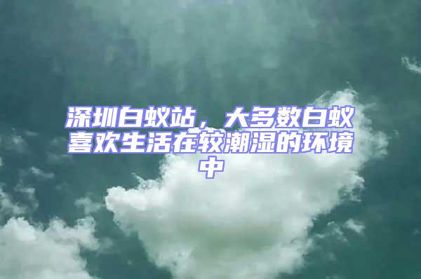 深圳白蟻站,大多數白蟻喜歡生活在較潮濕的環境中
