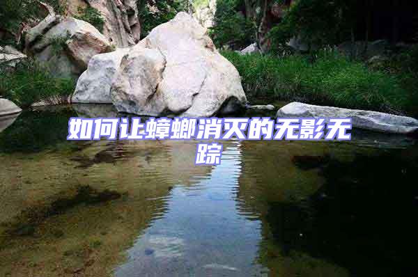 如何讓蟑螂消滅的無(wú)影無(wú)蹤