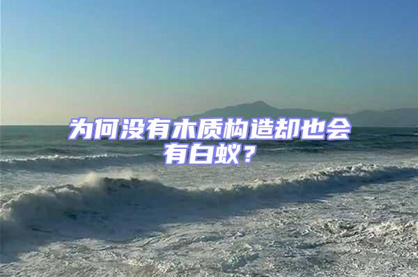 為何沒有木質(zhì)構(gòu)造卻也會(huì)有白蟻?
