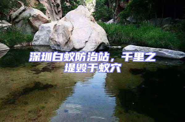 深圳白蟻防治站，千里之堤毀于蟻穴