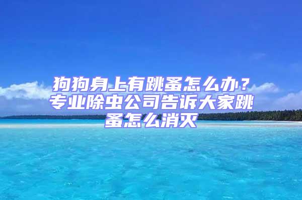 狗狗身上有跳蚤怎么辦？專業除蟲公司告訴大家跳蚤怎么消滅