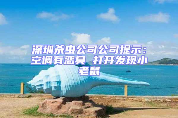 深圳殺蟲公司公司提示:空調有惡臭 打開發現小老鼠