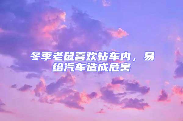 冬季老鼠喜歡鉆車內，易給汽車造成危害